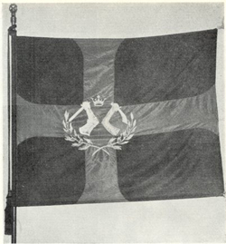 Nykyinen, kunniajäsen Akseli Gallen-Kallelan suunnittelema ja ensimmäisen kerran vuonna 1930 käyttöön otettu Osakunnan lippu. 